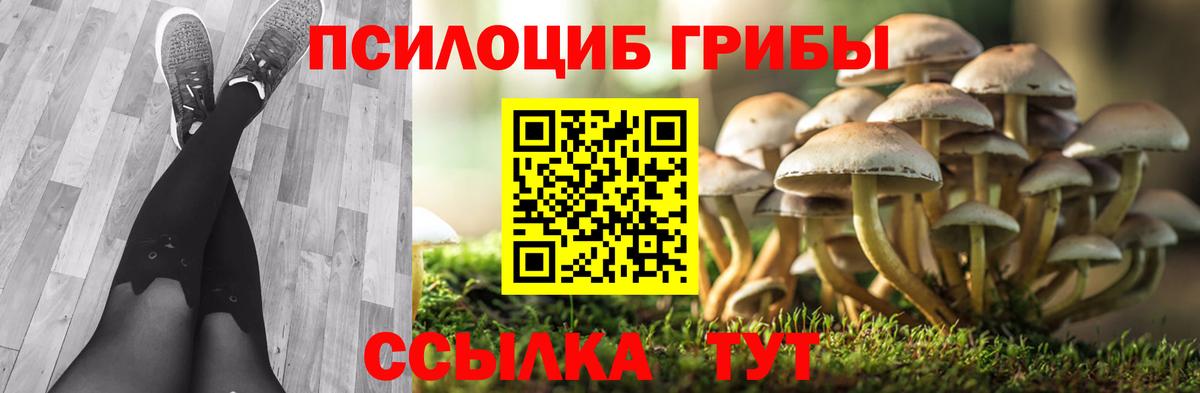 Псилоцибиновые грибы Magic Shrooms Обнинск