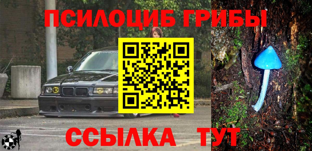 Галлюциногенные грибы GOLDEN TEACHER  цена наркотик  Обнинск  Вход с VPN 